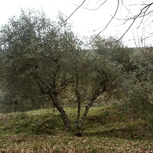 Chalet Tradizione Toscana Ristrutturata Nel 2021, Barga
